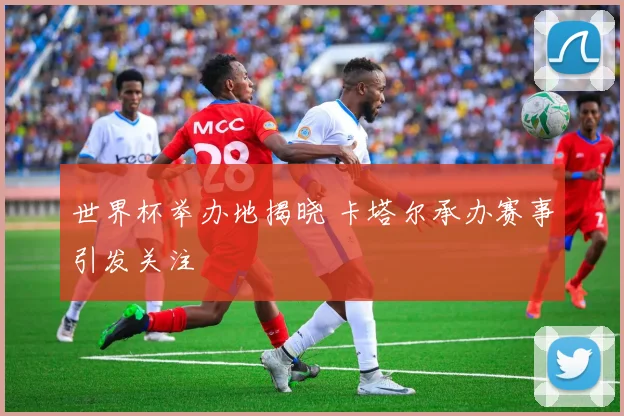 世界杯举办地揭晓 卡塔尔承办赛事引发关注
